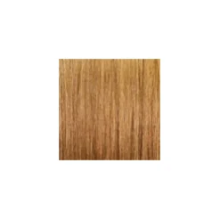 ARGAN OIL Hochentwickelte Haarcoloration Golden Honey Light Blonde / Honigblond 8.3