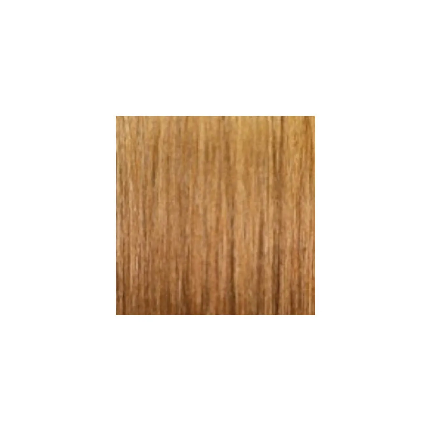 ARGAN OIL Hochentwickelte Haarcoloration Golden Honey Light Blonde / Honigblond 8.3