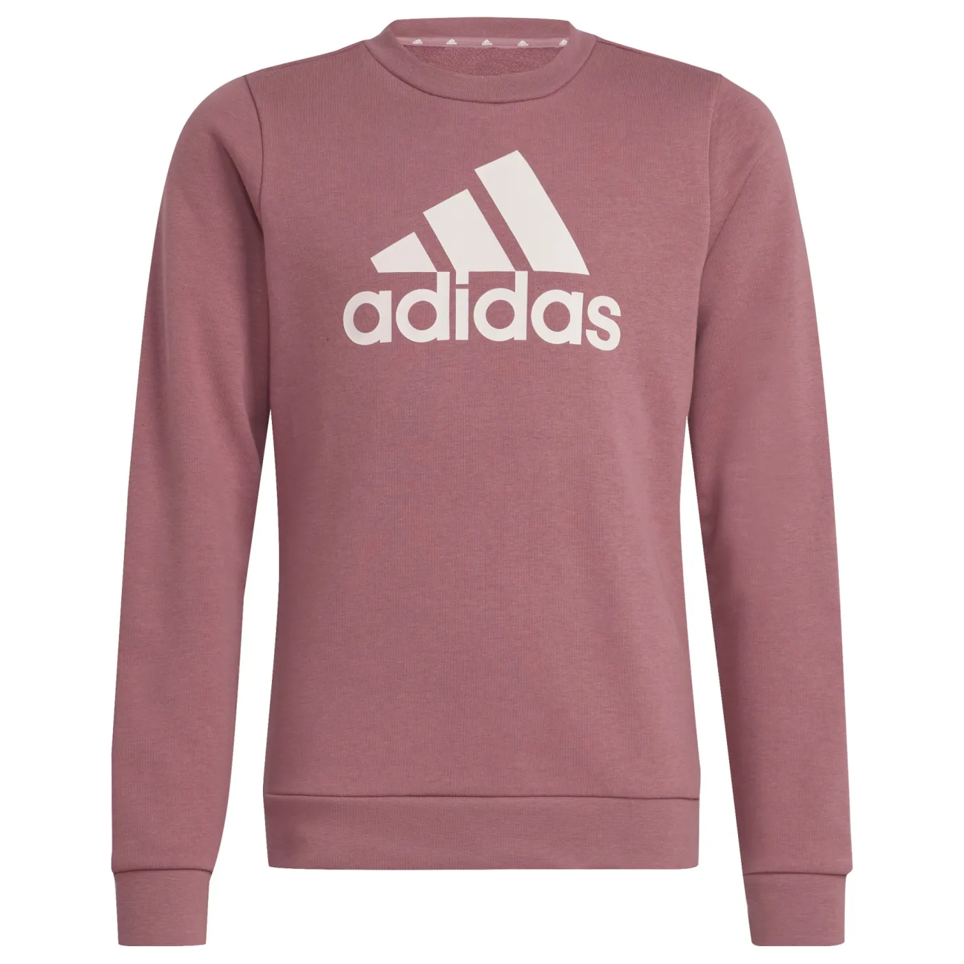 Essentials Big Logo Cotton Sweatshirt