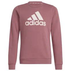 Essentials Big Logo Cotton Sweatshirt