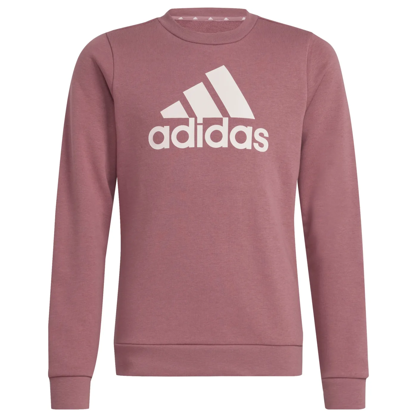 Essentials Big Logo Cotton Sweatshirt
