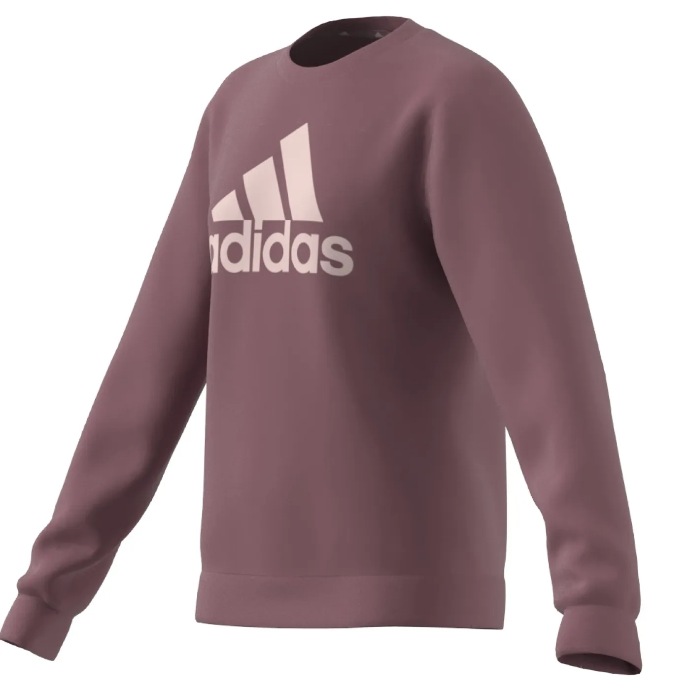 Essentials Big Logo Cotton Sweatshirt