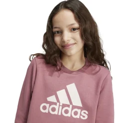Essentials Big Logo Cotton Sweatshirt