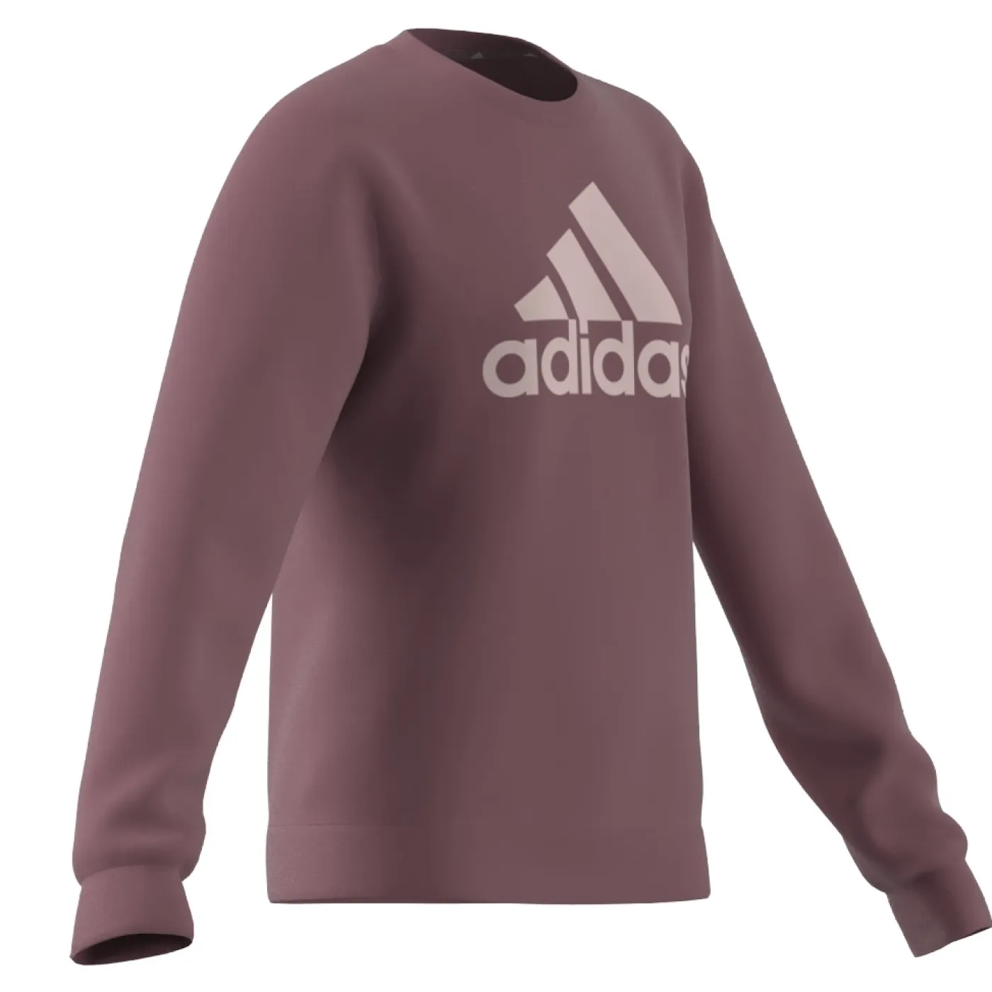 Essentials Big Logo Cotton Sweatshirt