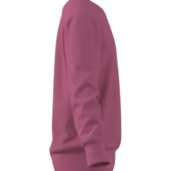 Essentials Kids Sweatshirt