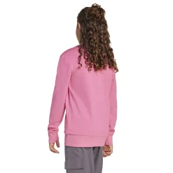 Essentials Kids Sweatshirt