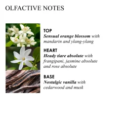 FLORA LUMINARE HW
