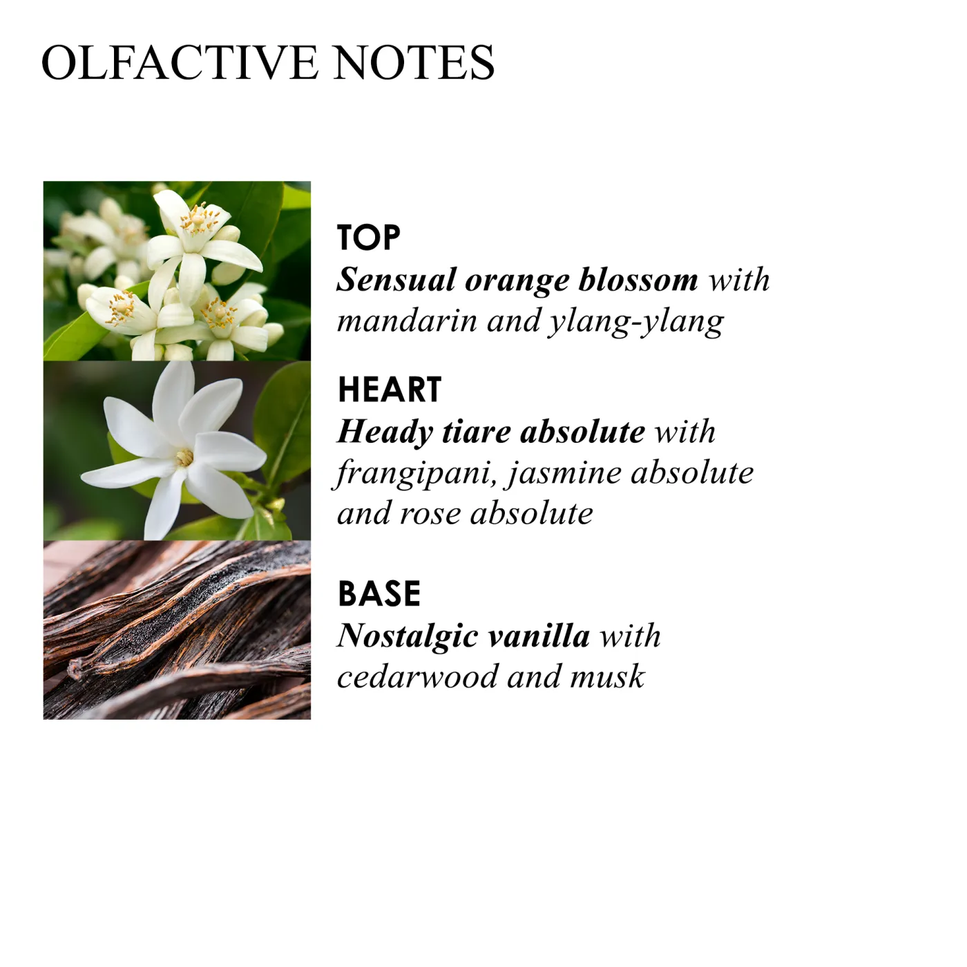 FLORA LUMINARE HW