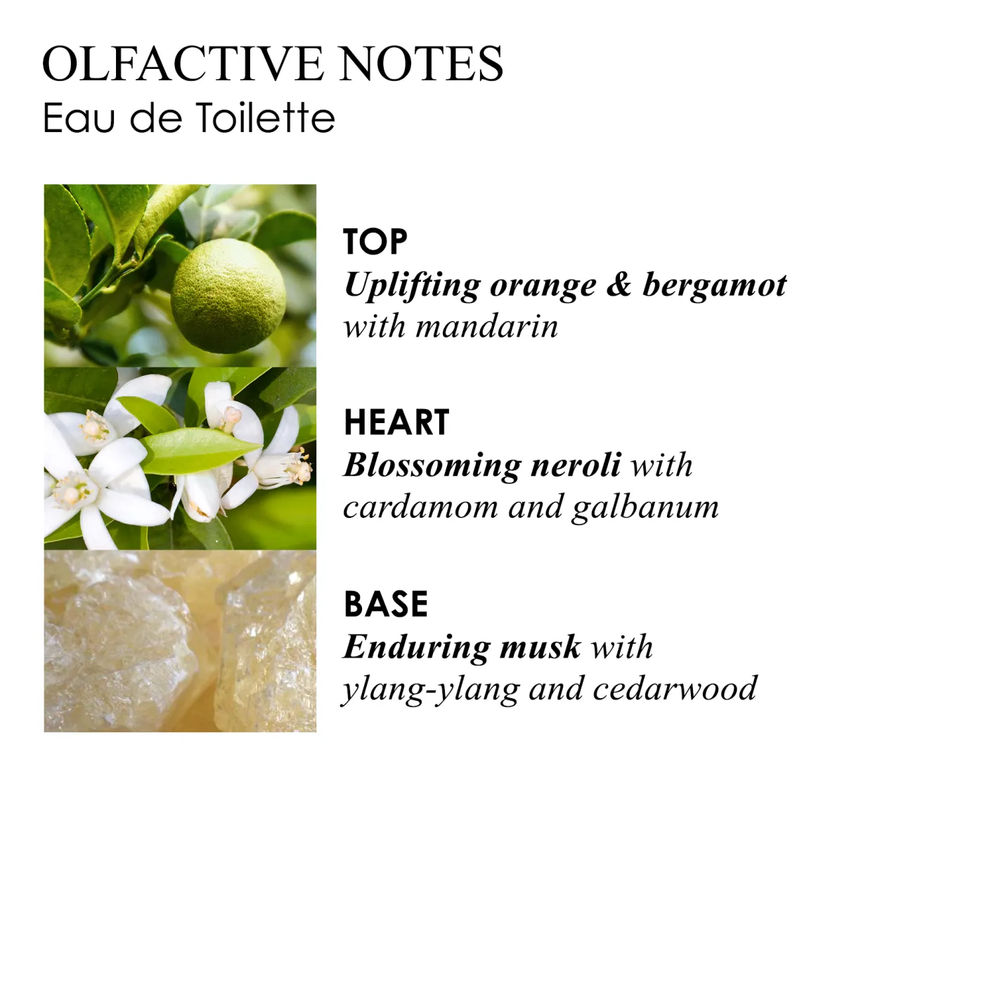 ORANGE & BERGAMOT EAU DE TOILETTE 100ML