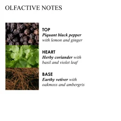 RE-CHARGE BLACK PEPPER BODYSCRUB BAR