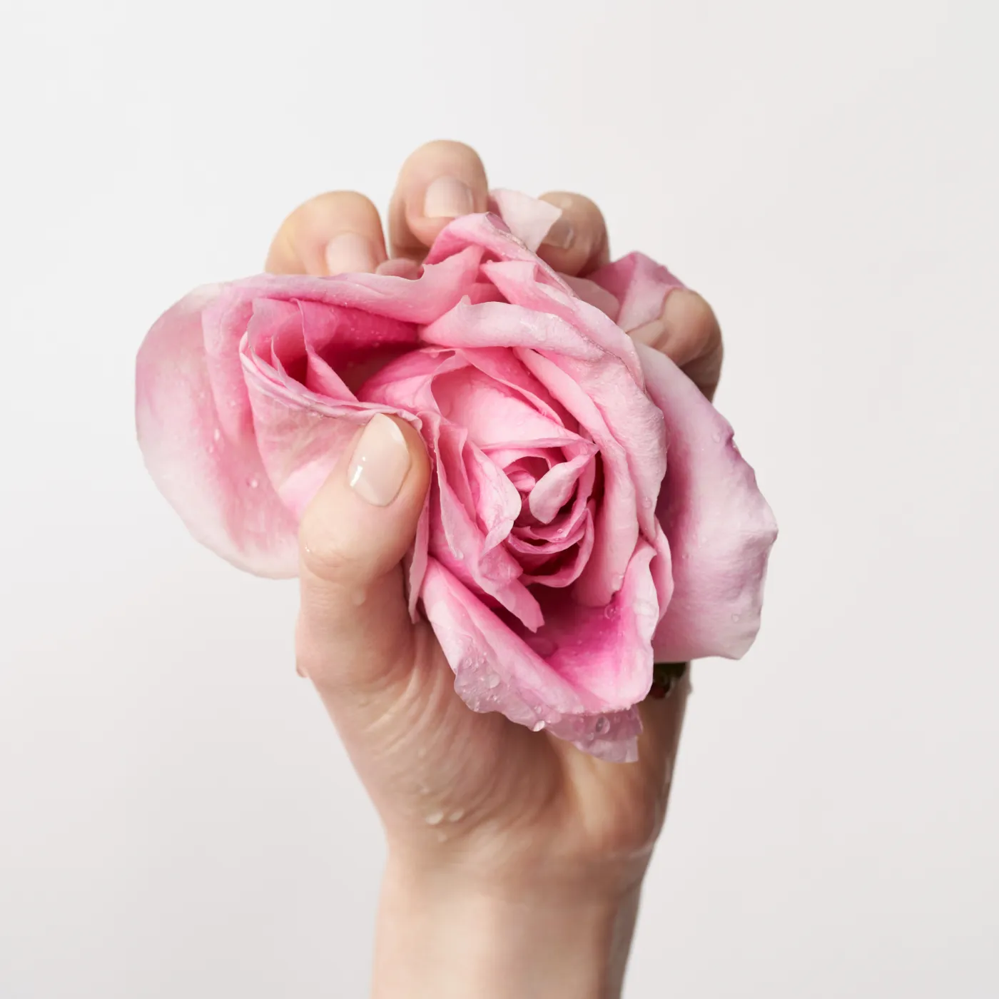 ROSE NATURE OIL-TO-MILK CLEANSER