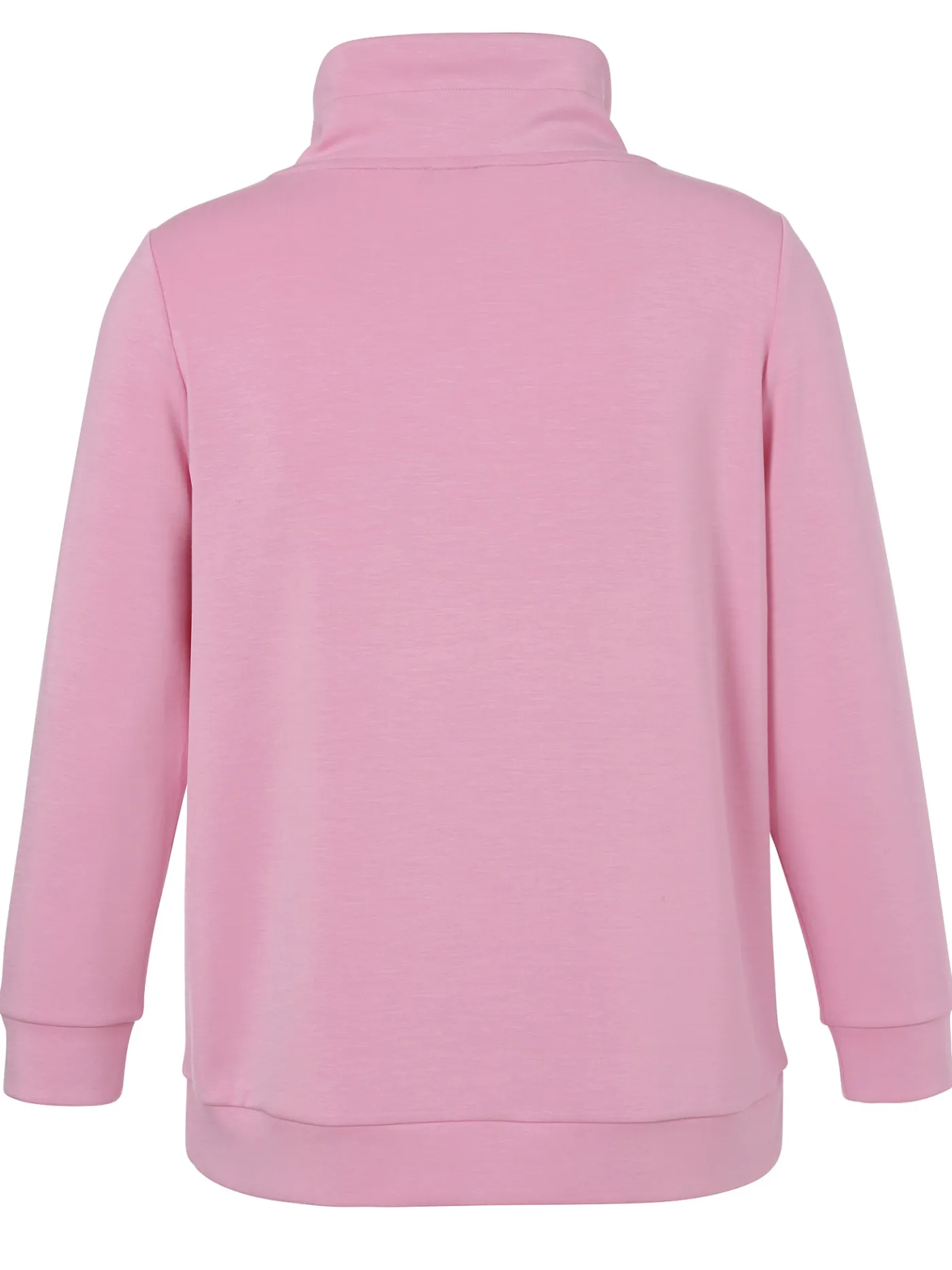 Sweatshirt mit Stehkragen