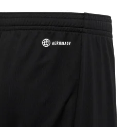 Train Essentials AEROREADY Logo Regular-Fit Shorts