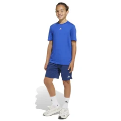 Train Essentials Logo Regular Fit Kids Shorts