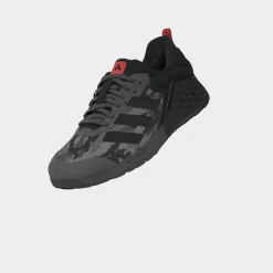 Turnschuh
